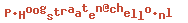 e-mailadres