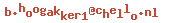e-mailadres