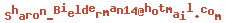 e-mailadres