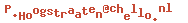 e-mailadres