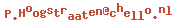 e-mailadres