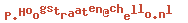 e-mailadres